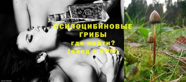 гашик Баксан