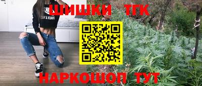 jwh Гудермес
