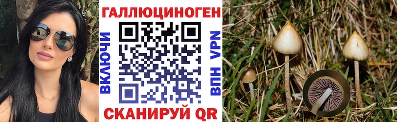 Псилоцибиновые грибы мухоморы  нарко площадка наркотические препараты  Заречный  купить наркотик 