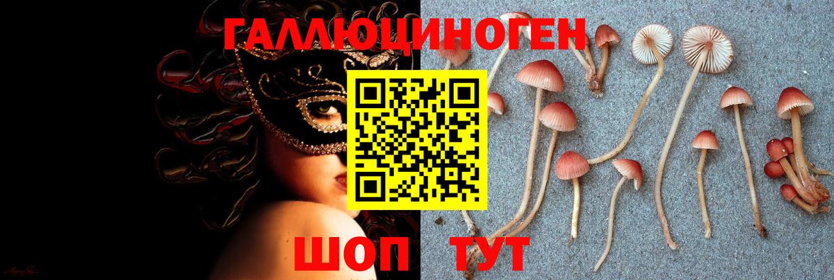 Галлюциногенные грибы прущие грибы  Вход с VPN  Заречный 